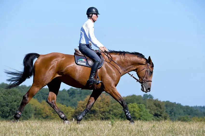 Améliorer son assiette et sa position : 5 exercices efficaces (à cheval et à pied)